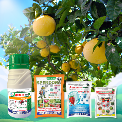 THUỐC TRỪ BỆNH