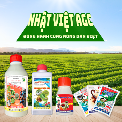 THUỐC TRỪ SÂU, RẦY